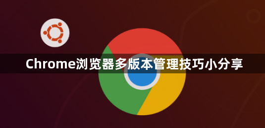 Chrome浏览器多版本管理技巧小分享1