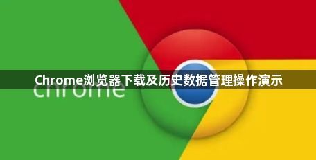 Chrome浏览器下载及历史数据管理操作演示1
