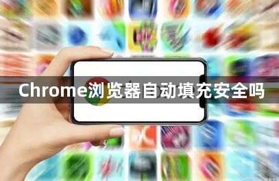Chrome浏览器自动填充安全吗1