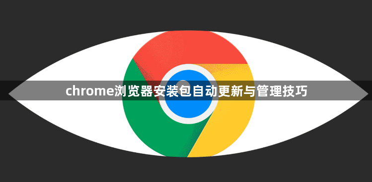 chrome浏览器安装包自动更新与管理技巧1