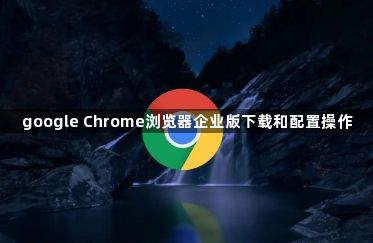 google Chrome浏览器企业版下载和配置操作1
