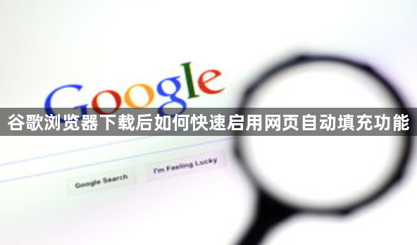 谷歌浏览器下载后如何快速启用网页自动填充功能1