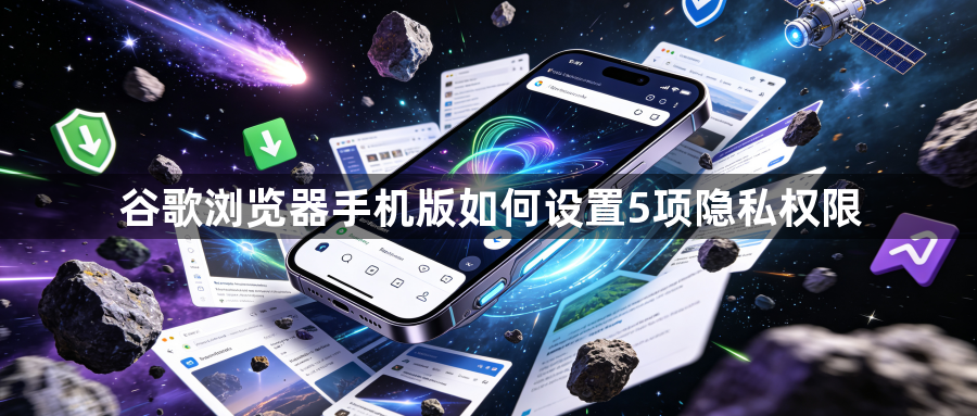 谷歌浏览器手机版如何设置5项隐私权限1
